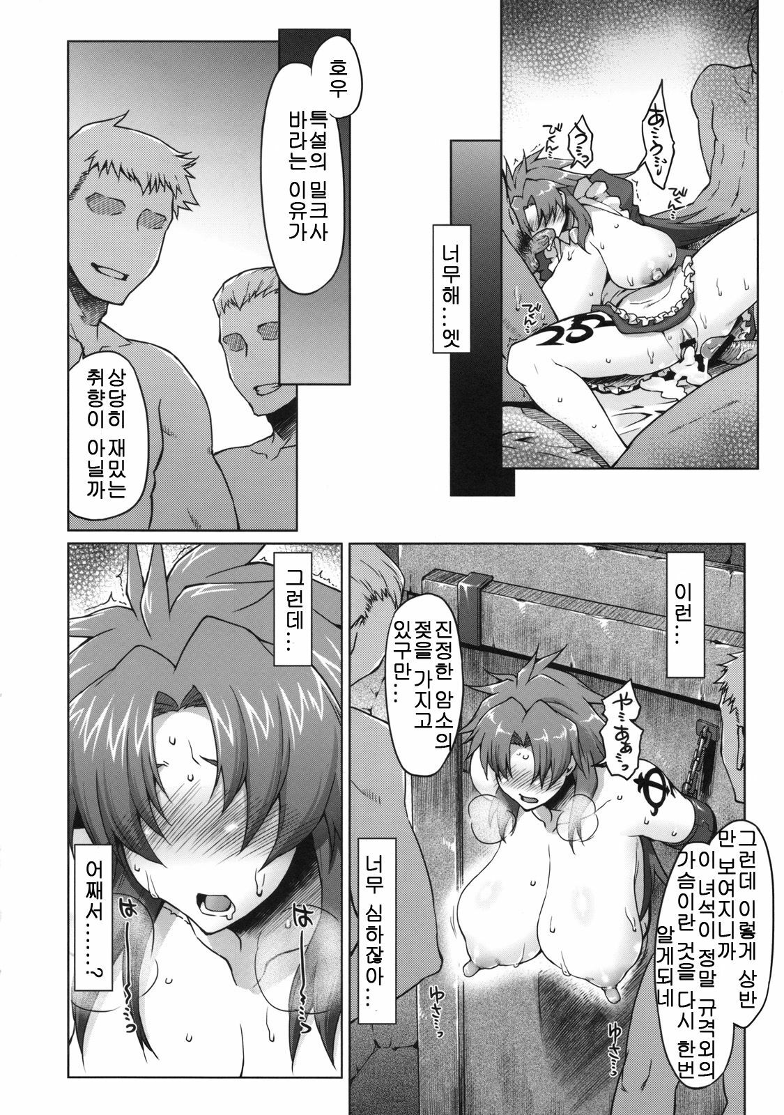 (C78) [Sago-jou (Seura Isago)] Meushi Gizoku ～Risty Rin After～ (Queen's Blade) [Korean] page 33 full