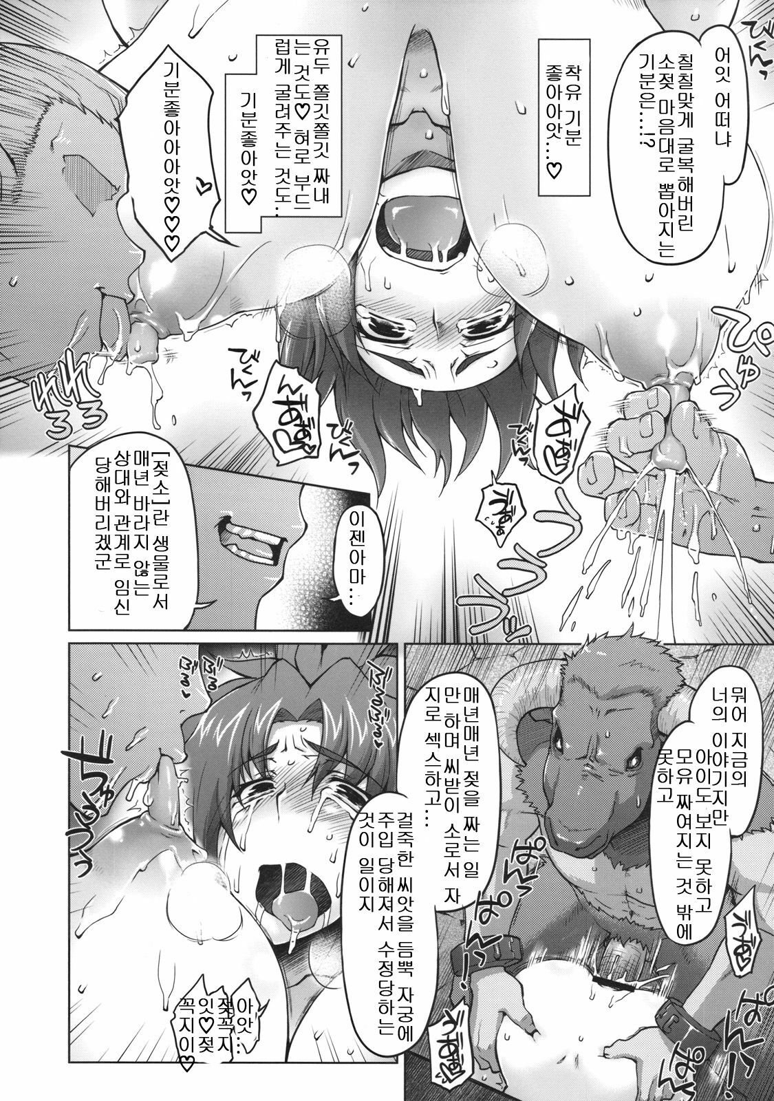 (C78) [Sago-jou (Seura Isago)] Meushi Gizoku ～Risty Rin After～ (Queen's Blade) [Korean] page 43 full