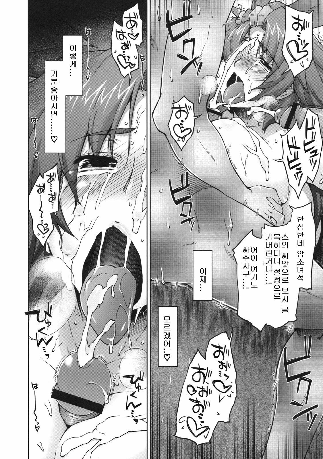 (C78) [Sago-jou (Seura Isago)] Meushi Gizoku ～Risty Rin After～ (Queen's Blade) [Korean] page 49 full