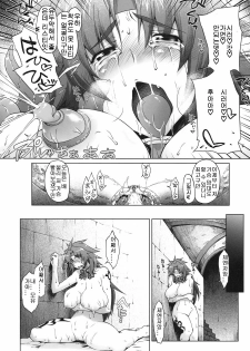 (C78) [Sago-jou (Seura Isago)] Meushi Gizoku ～Risty Rin After～ (Queen's Blade) [Korean] - page 15