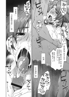 (C78) [Sago-jou (Seura Isago)] Meushi Gizoku ～Risty Rin After～ (Queen's Blade) [Korean] - page 49