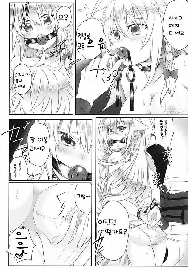 [Uraroji (Kaida Michi)] Hatsujou! Neko Hime Choukyou Sen!? (DOG DAYS) [Korean] [Mr. kERO] page 10 full