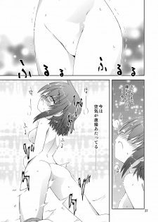 [ふなのりはうす] 水兵ききの『みかにみかハラ2010』～みかに透明人間のせかい～ - page 37