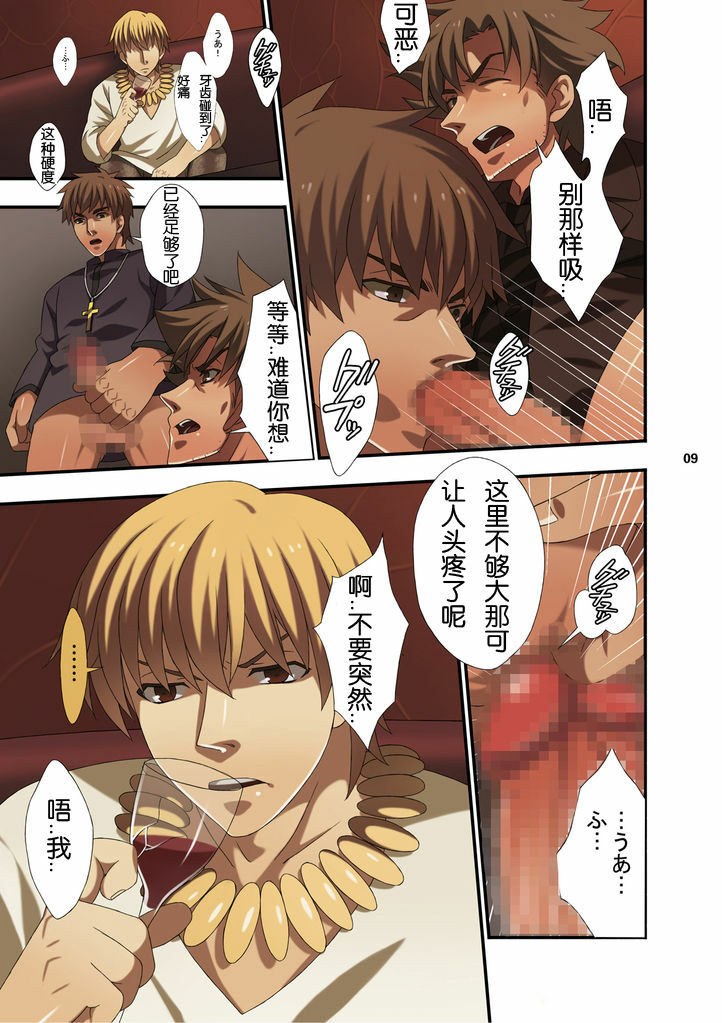 [琉璃神社汉化][Sugartiger] NEW OR OLD (Fate/Zero)[CHINESE] page 9 full