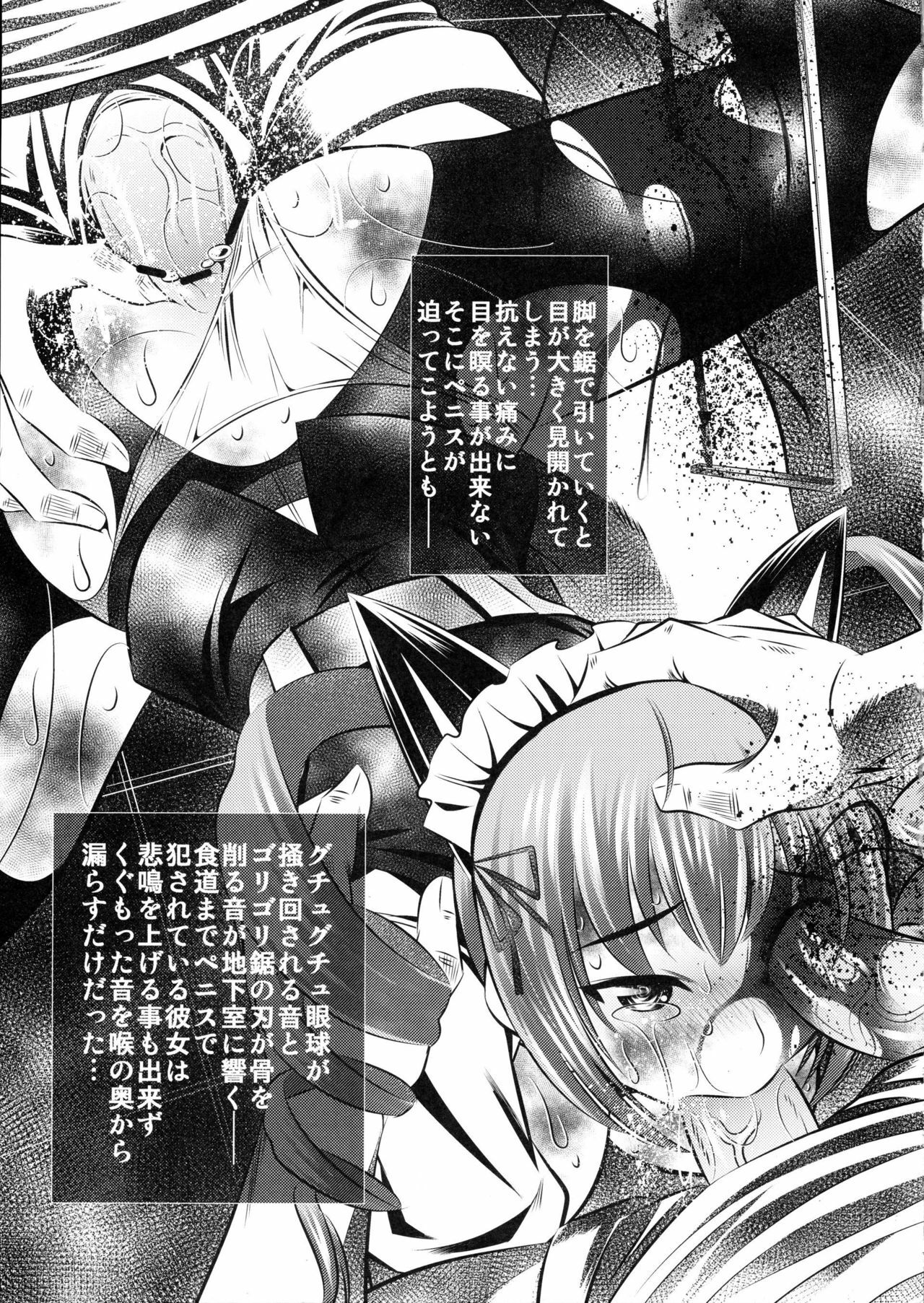 (C80) [Yuugai Tosho Kikaku (Tanaka Naburu)] Goumon-kan Chuuni hen (Steins;Gate) page 14 full