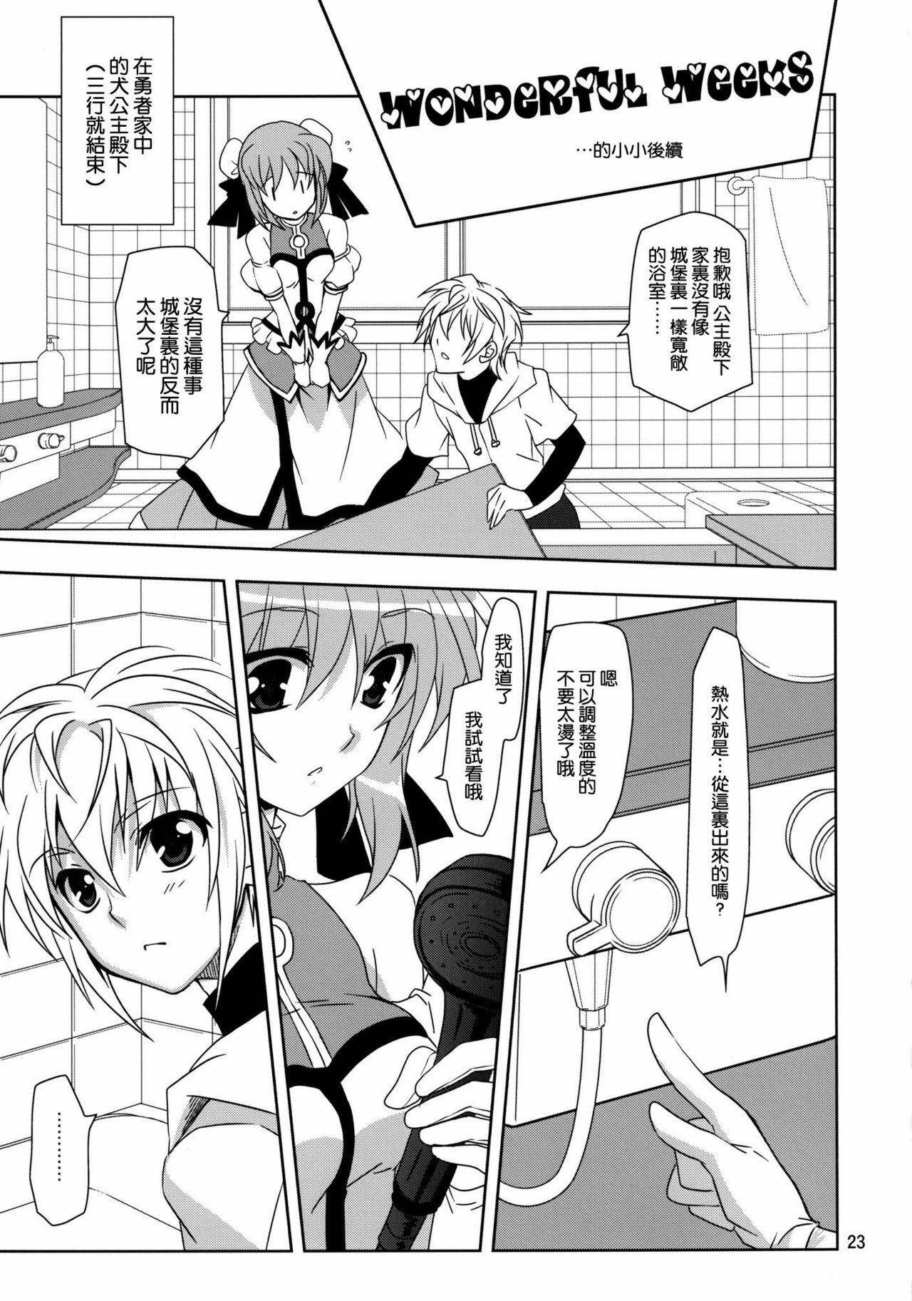 (COMIC1☆6) [Plum (Kanna)] Wonderful Agent (Dog Days) [Chinese] [空気系★汉化] page 23 full