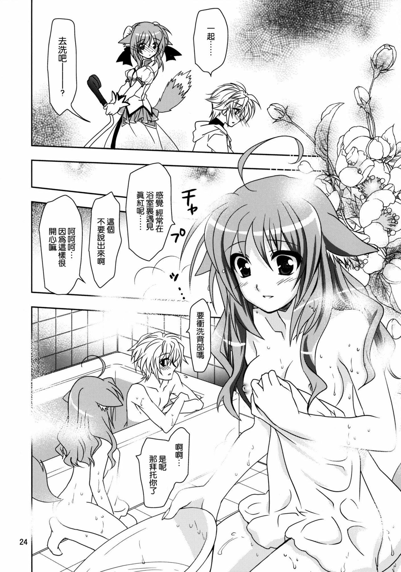 (COMIC1☆6) [Plum (Kanna)] Wonderful Agent (Dog Days) [Chinese] [空気系★汉化] page 24 full