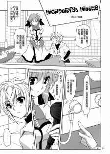 (COMIC1☆6) [Plum (Kanna)] Wonderful Agent (Dog Days) [Chinese] [空気系★汉化] - page 23