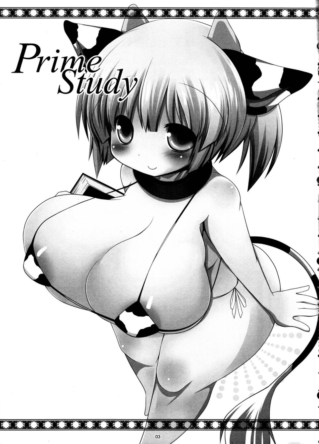 (C81) [mim'im (Mimisuke)] Prime Study page 3 full