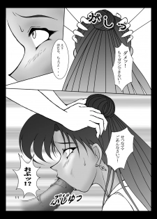[Taiyoukei Kaihatsu Kikou (Marubayashi Shumaru)] Setsuna-sensei no Hachimitsu Jugyou (Bishoujo Senshi Sailor Moon) [Digital] - page 10