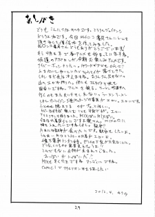 (COMIC1☆6) [King Revolver (Kikuta Kouji)] Souryo wa Onnanoko desu (Dragon Quest III) - page 29