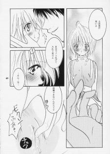 [Sakurara & Cherry (Sakura Mitsuru)] Pink Snow memoria (Hunter x Hunter) - page 34