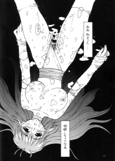 (C62) [HANAMARU MUGEN GYM (Hyoujun Mai) & POKIMADOU KYOUKAI (Minarai Pokimadoushi)] Kasumi Zakura (Dead or Alive) - page 21