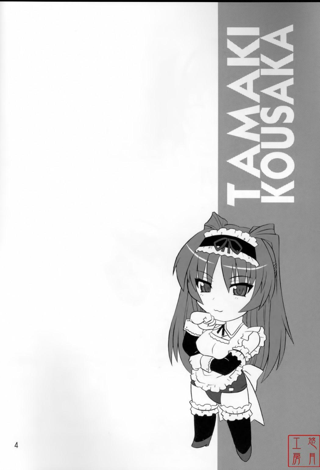 (C71) [CAZA MAYOR (Tsutsumi Akari)] ToyHeart Vol. 4 (ToHeart2) [悠月工房] page 3 full