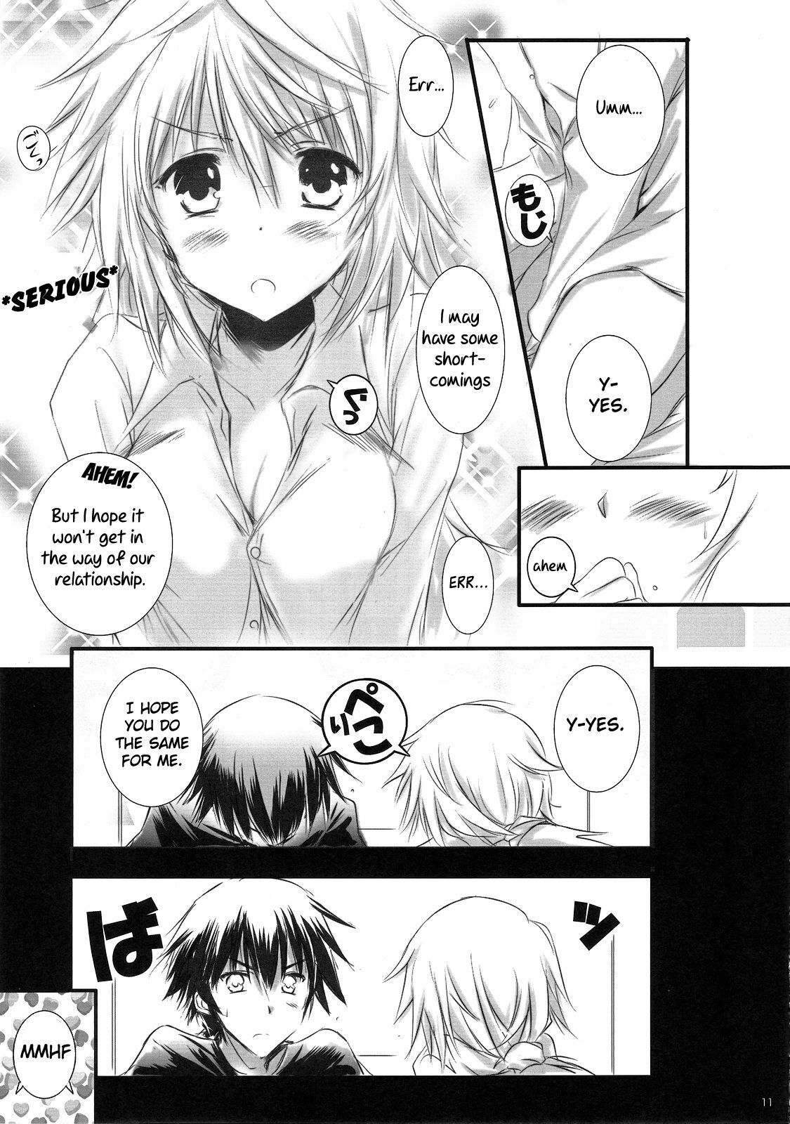 (C81) [SONIC WINTER (Tsukishima Kai)] Carol (Infinite Stratos) [English] page 11 full