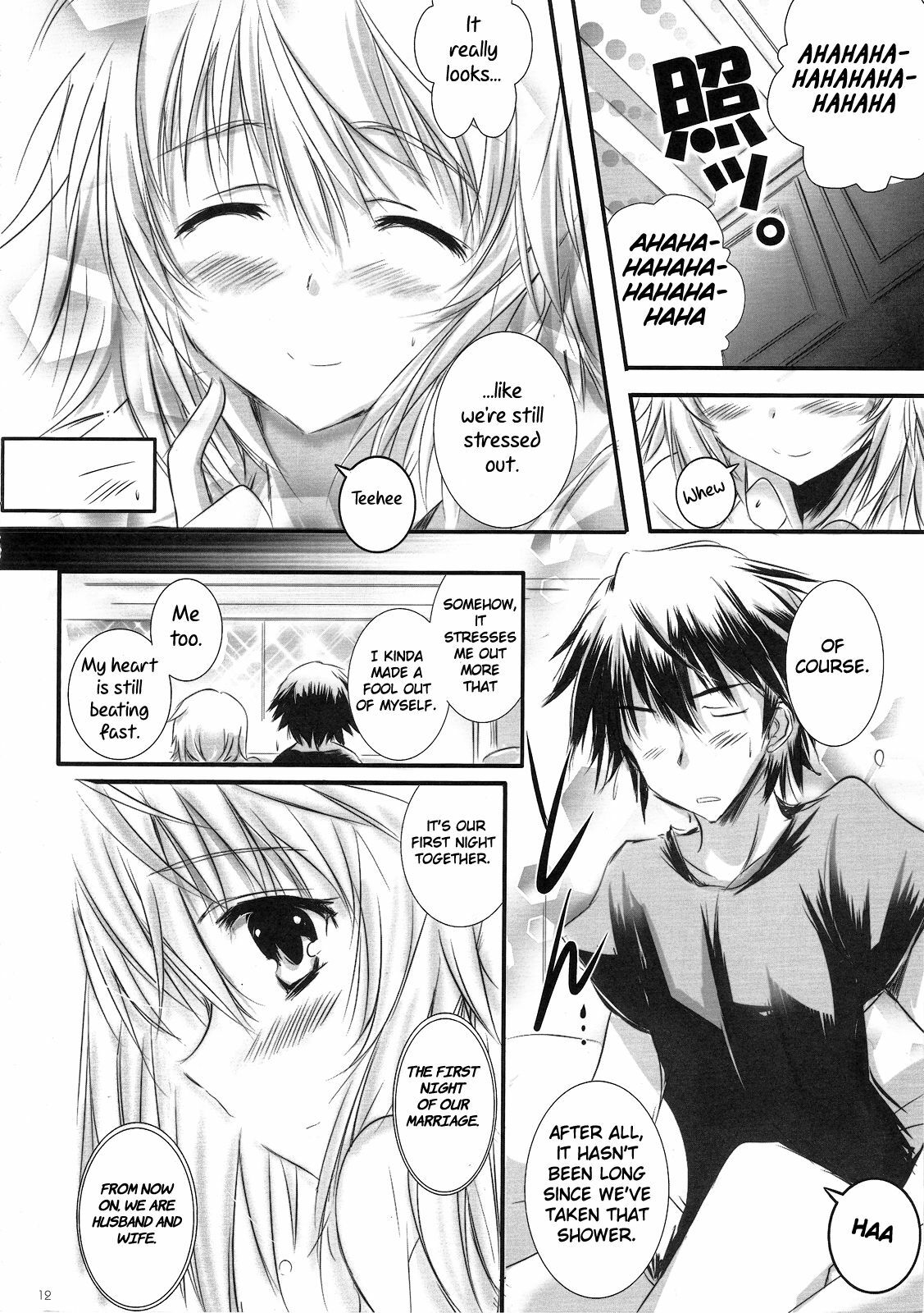 (C81) [SONIC WINTER (Tsukishima Kai)] Carol (Infinite Stratos) [English] page 12 full