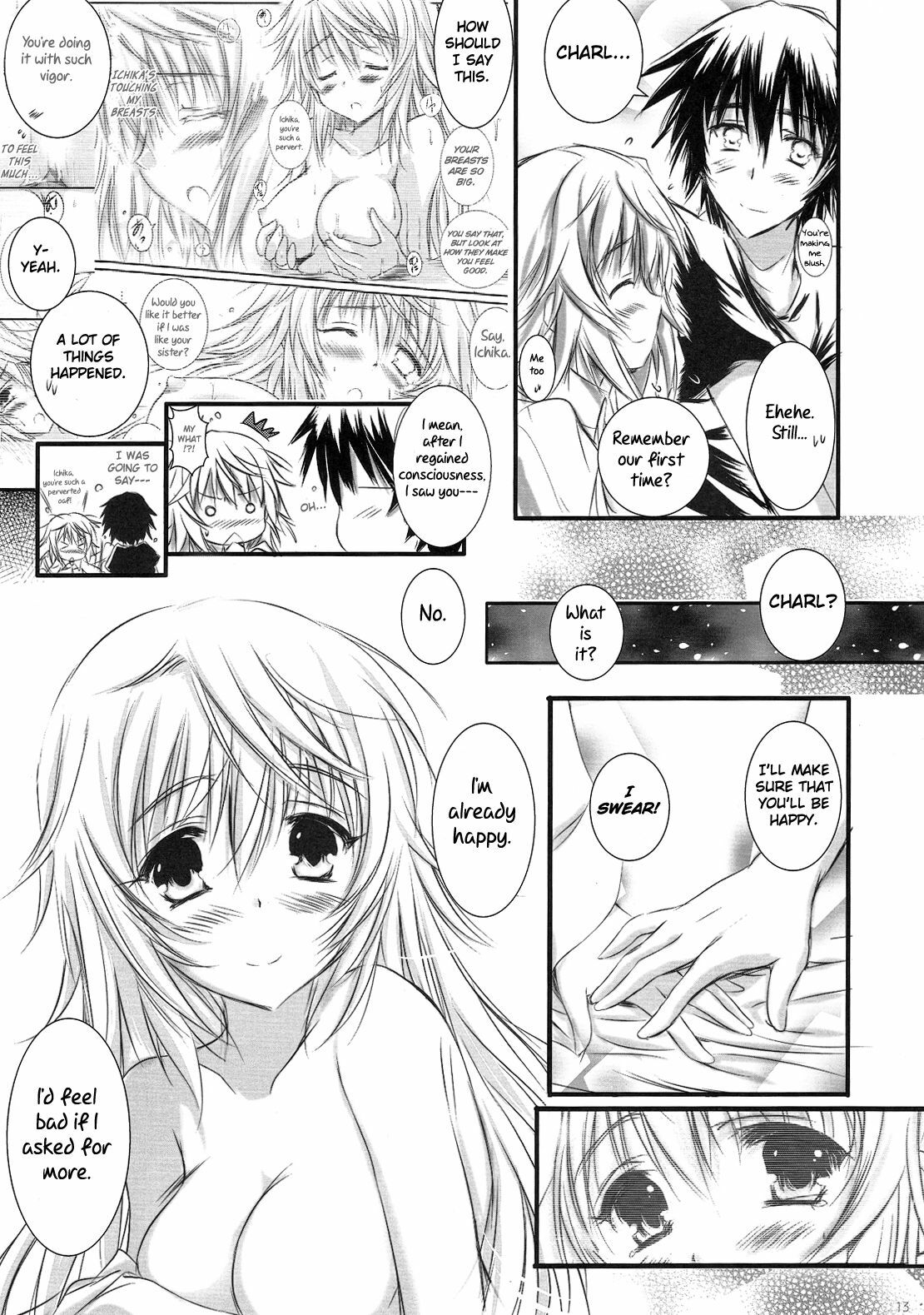 (C81) [SONIC WINTER (Tsukishima Kai)] Carol (Infinite Stratos) [English] page 13 full