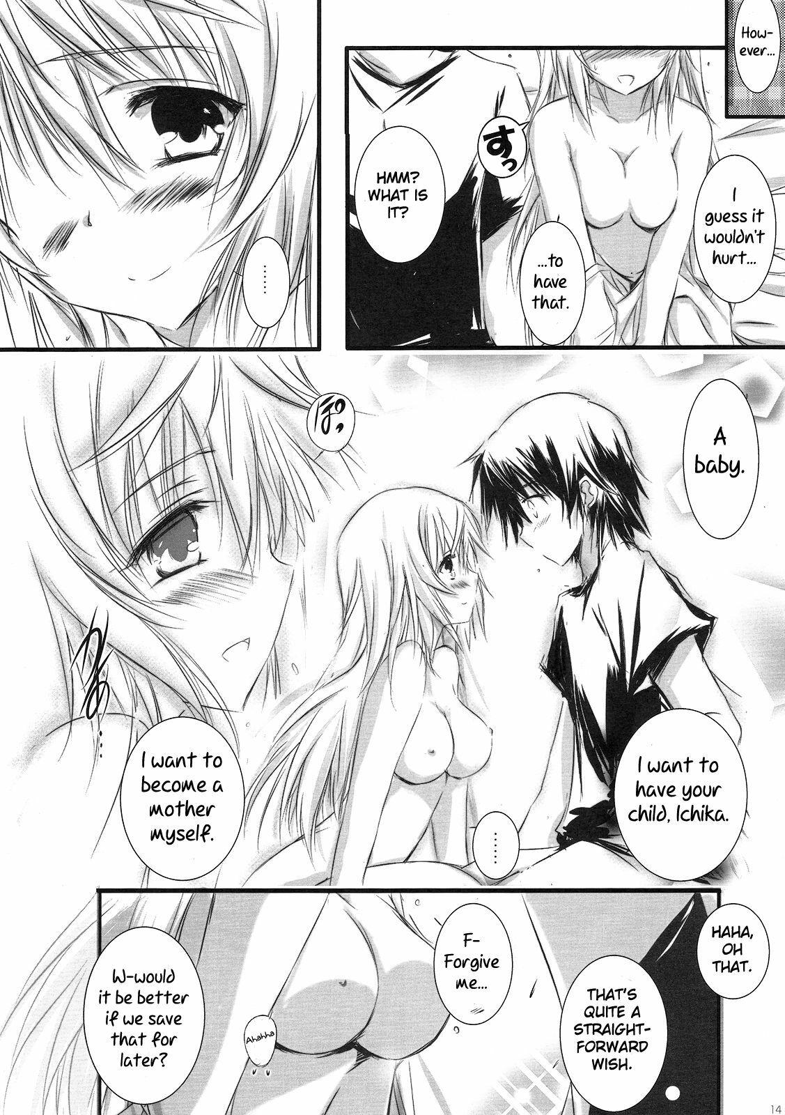 (C81) [SONIC WINTER (Tsukishima Kai)] Carol (Infinite Stratos) [English] page 14 full