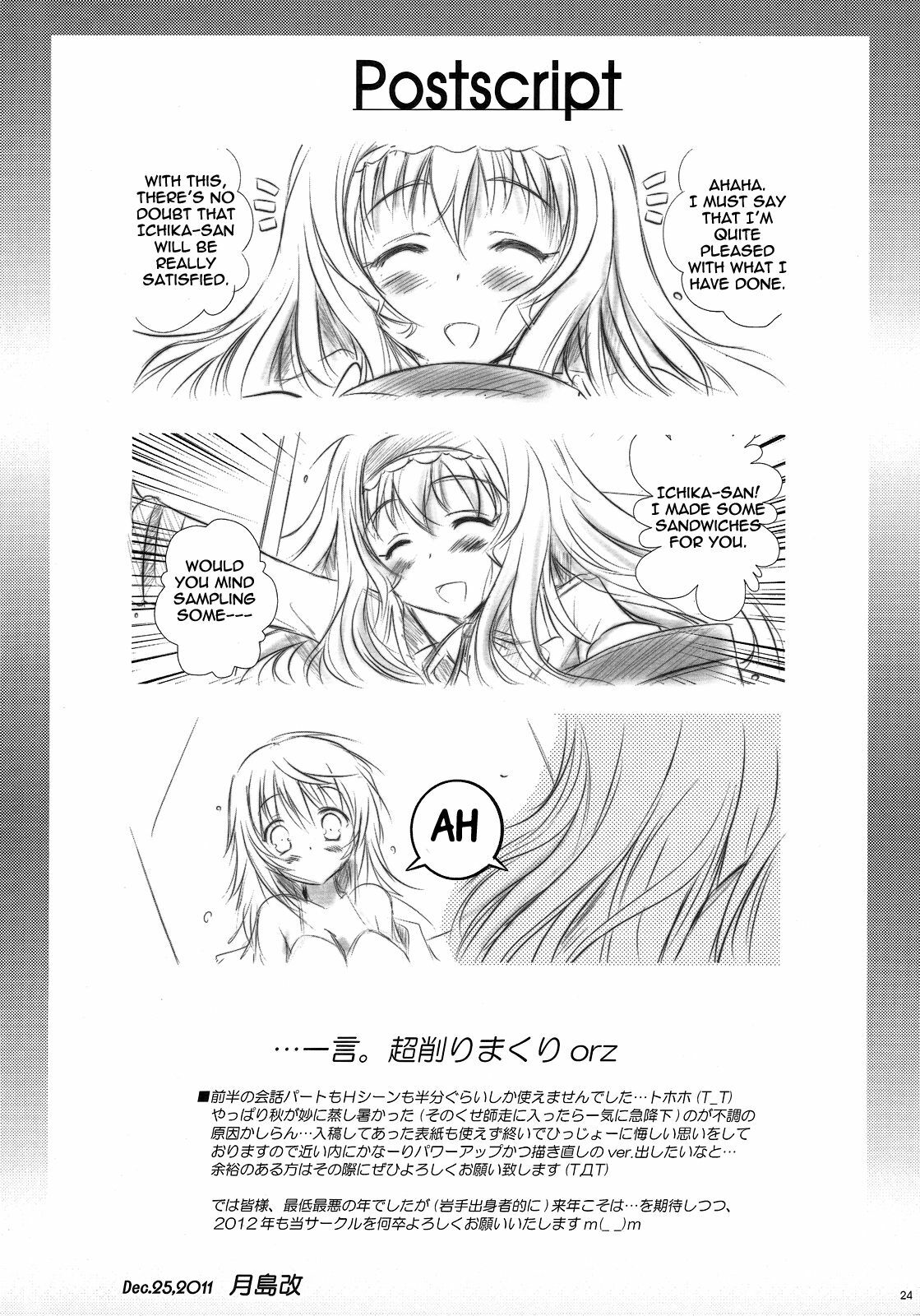 (C81) [SONIC WINTER (Tsukishima Kai)] Carol (Infinite Stratos) [English] page 24 full