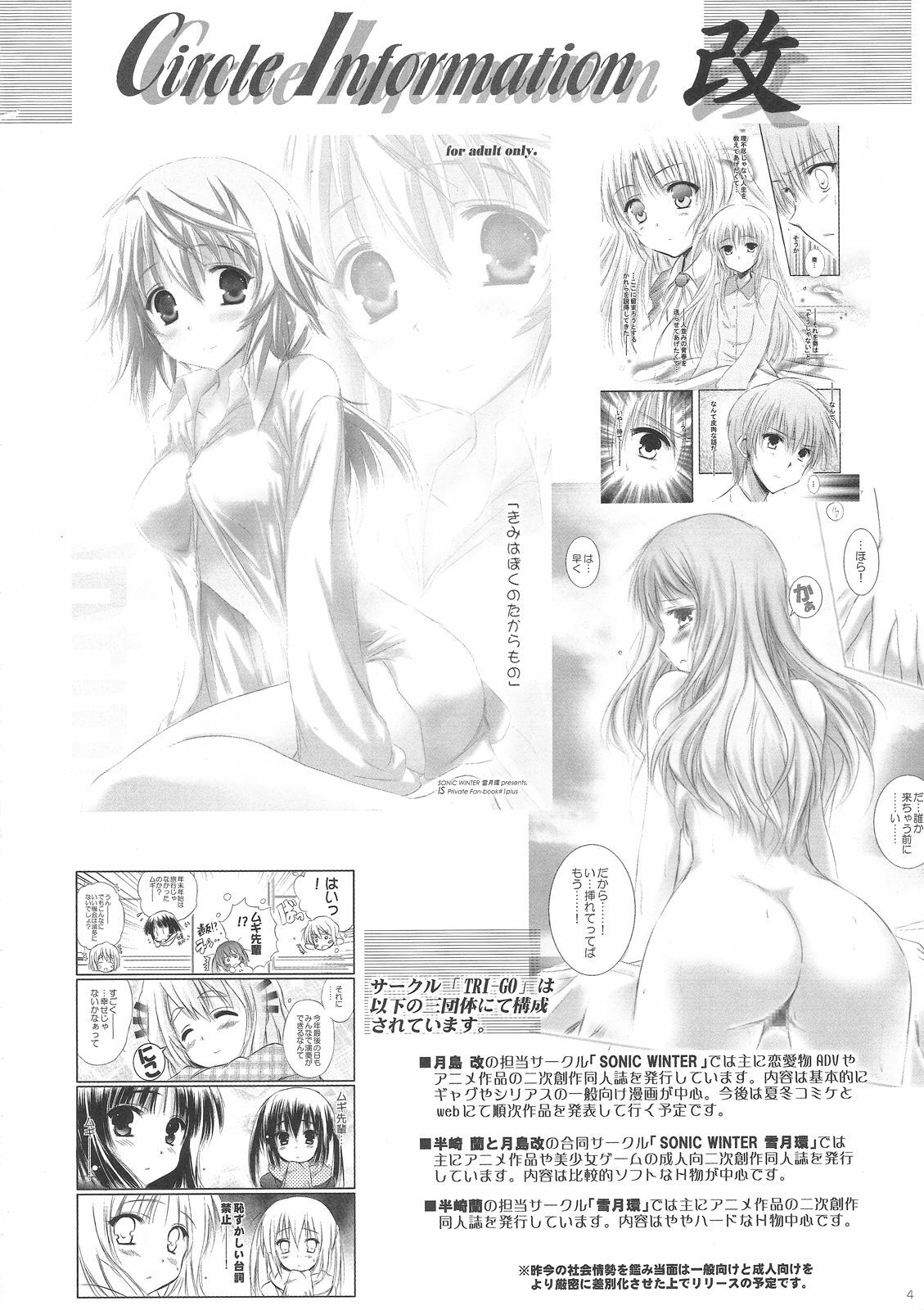 (C81) [SONIC WINTER (Tsukishima Kai)] Carol (Infinite Stratos) [English] page 4 full