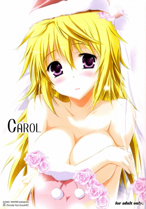 (C81) [SONIC WINTER (Tsukishima Kai)] Carol (Infinite Stratos) [English]