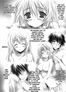 (C81) [SONIC WINTER (Tsukishima Kai)] Carol (Infinite Stratos) [English] - page 6