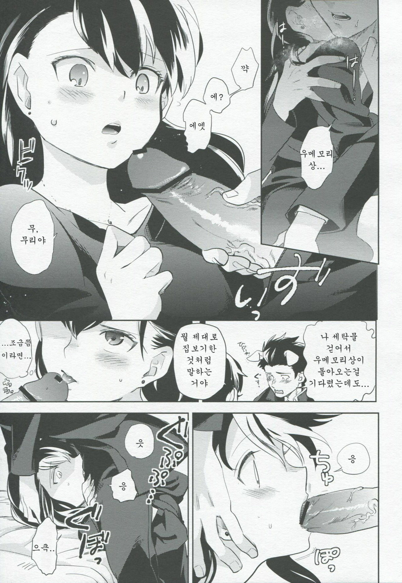 (HaruCC17) [goo-paaa (Ocha)] es no Madobe | es의 창가 [Korean] [Team Arcana] page 27 full