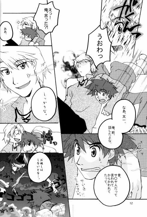 (HaruCC8) [Ishigamiya (Utsugi Iminashi)] Ereki (Digimon Adventure 02) page 12 full