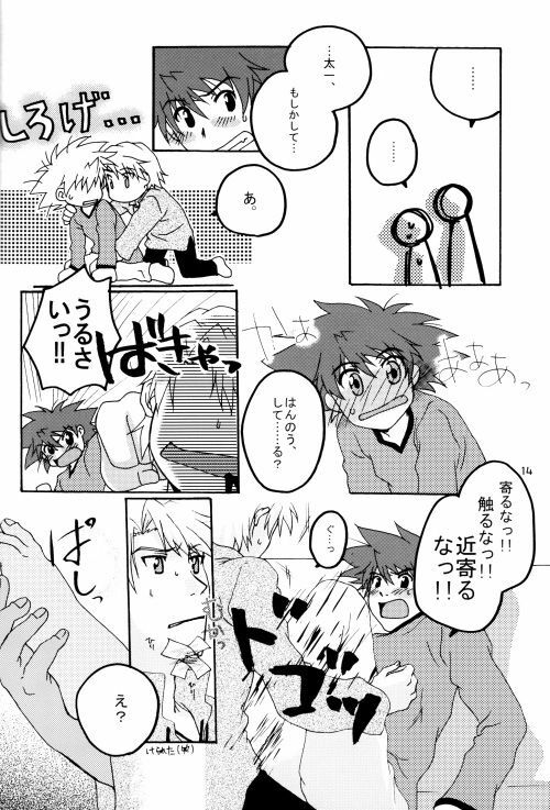 (HaruCC8) [Ishigamiya (Utsugi Iminashi)] Ereki (Digimon Adventure 02) page 14 full