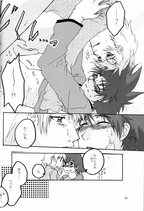 (HaruCC8) [Ishigamiya (Utsugi Iminashi)] Ereki (Digimon Adventure 02) page 29 full