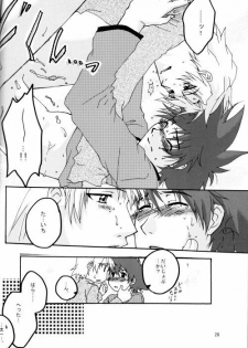 (HaruCC8) [Ishigamiya (Utsugi Iminashi)] Ereki (Digimon Adventure 02) - page 29