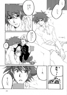 (HaruCC8) [Ishigamiya (Utsugi Iminashi)] Ereki (Digimon Adventure 02) - page 30