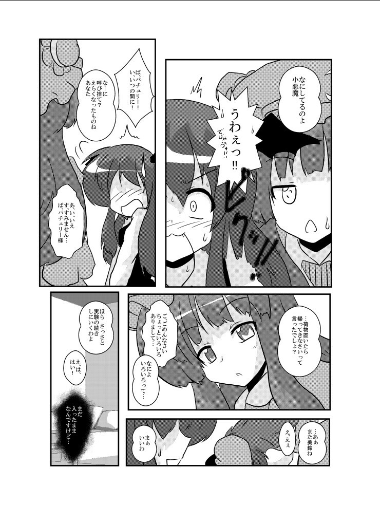 [Ameshoo (Mikaduki Neko)] Touhou TS Monogatari ~Koakuma hen~ (Touhou Project) [Digital] page 12 full