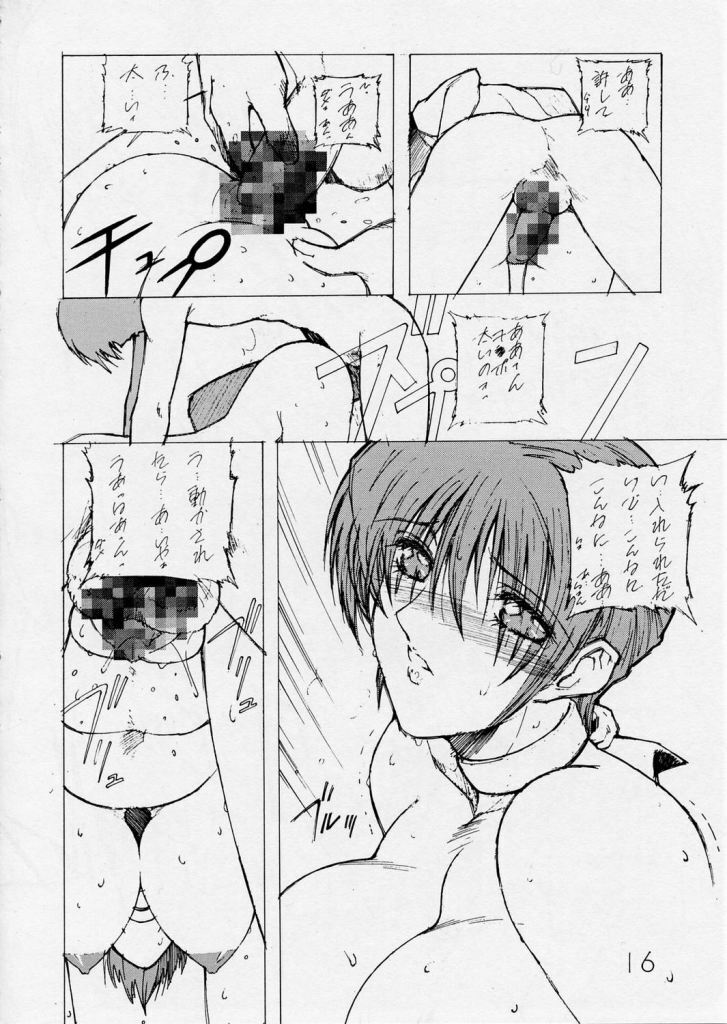 (C57) [Shibarism (Shibari Kana)] DA2 (Dead or Alive) page 13 full