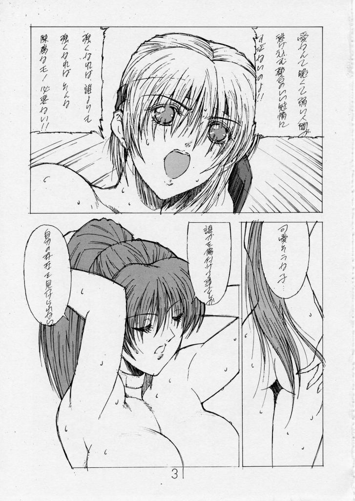 (C57) [Shibarism (Shibari Kana)] DA2 (Dead or Alive) page 28 full