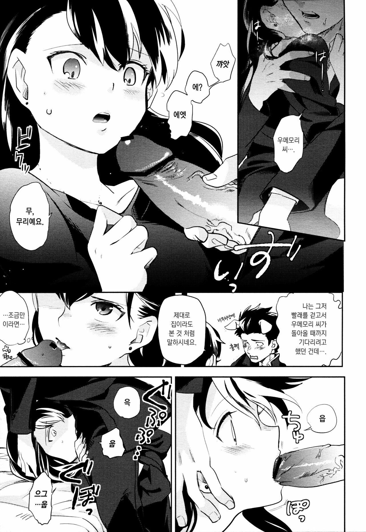 (HaruCC17) [goo-paaa (Ocha)] es no Madobe [Korean] [Project H] page 26 full