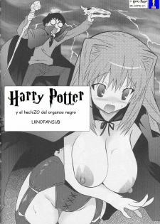 Harry Potter y el hechizo del orgasmo negro [Spanish] [Rewrite] [LKNOFansub] - page 1