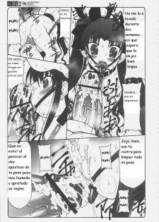 (C69) [Abarenbow Tengu (Izumi Yuujiro)] Kotori 2 (Fate/stay night) [Spanish] {Kurotao} - page 29