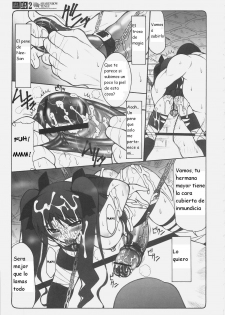 (C69) [Abarenbow Tengu (Izumi Yuujiro)] Kotori 2 (Fate/stay night) [Spanish] {Kurotao} - page 33