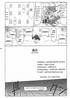 (C68) [Abarenbow Tengu (Izumi Yuujiro)] Kotori (Fate/stay night) [Spanish] [Kurotao] - page 18
