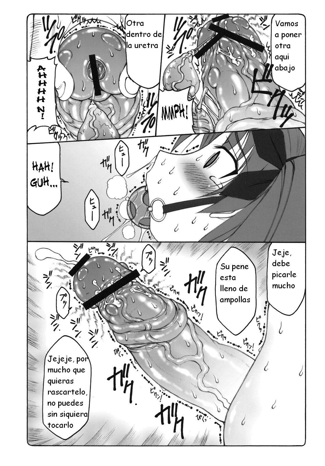 (C76) [Abarenbow Tengu (Izumi Yuujiro)] Kotori 4 (Fate/stay night) [Spanish] {Kurotao} page 10 full