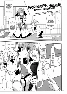 (COMIC1☆6) [Plum (Kanna)] Wonderful Agent (Dog Days) [Spanish] [H-Elite no Fansub] - page 22