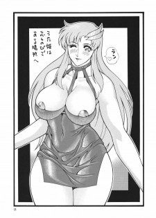 [Rippadou (Minazuki Akira)] Okachi Mentaiko DESTINY (Gundam SEED DESTINY) [Digital] - page 12