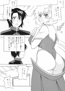 [Rippadou (Minazuki Akira)] Okachi Mentaiko DESTINY (Gundam SEED DESTINY) [Digital] - page 21
