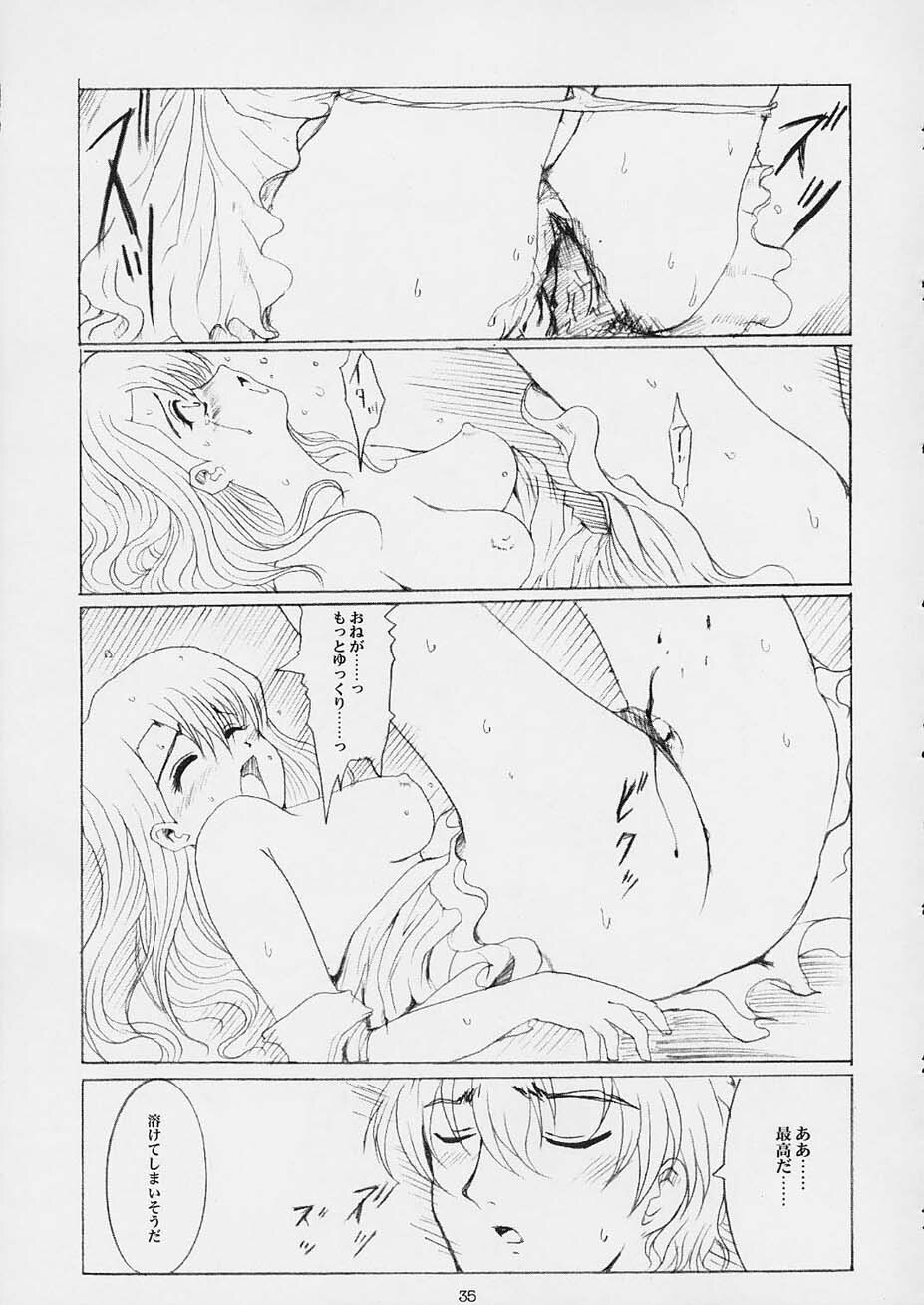 [Neko to Hato (Hatoya Mameshichi)] Promesse Yakusoku no Toki (Noir) page 34 full