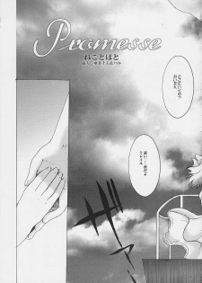 [Neko to Hato (Hatoya Mameshichi)] Promesse Yakusoku no Toki (Noir) - page 12