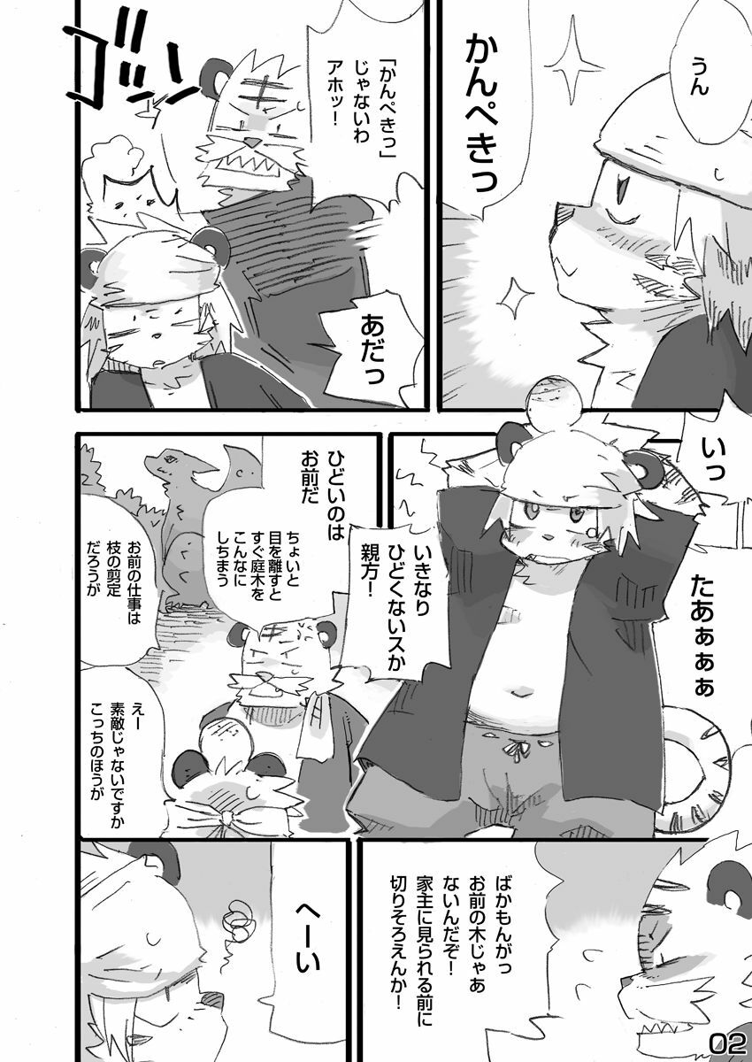 (C79) [Rabbit Zone (Shiratama)] Tora to Tsubaki Joukan page 3 full
