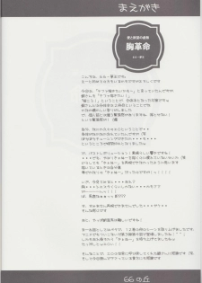 (C74) [Zi, 66 no Oka, Tsurukiya (Mutsuki Ginji, 66-Muou)] Mune Kakumei Bust Revolution (Zero no Tsukaima) - page 19