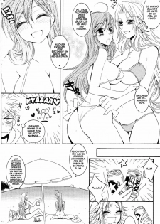 (C74) [SUBSONIC FACTOR (Tajima Ria)] CHICK CHICK CHICK (BLEACH) [Spanish] [ElMoeDela8] - page 5