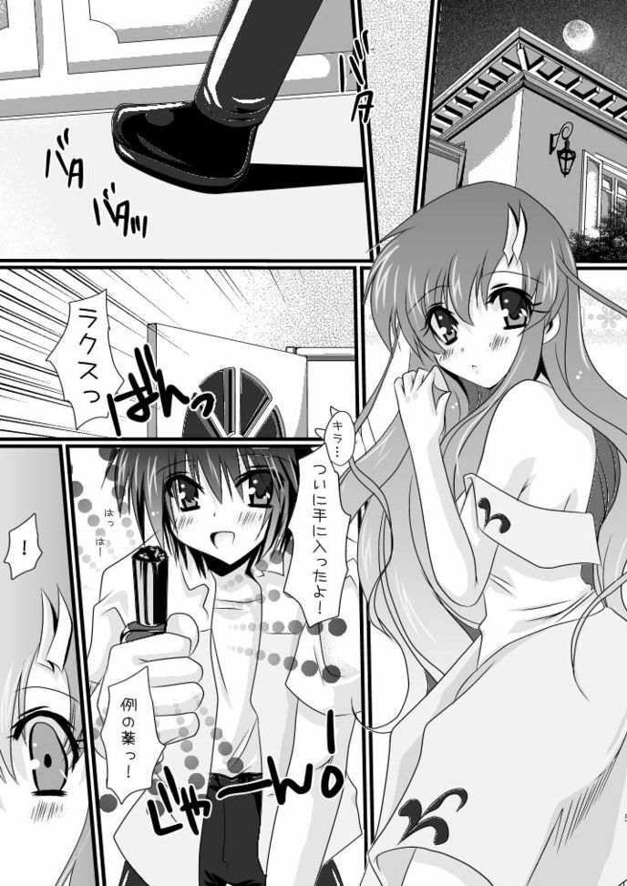 (C75) [Potosu Koubou (Chaa)] hororechuchuparero (Gundam SEED) page 5 full